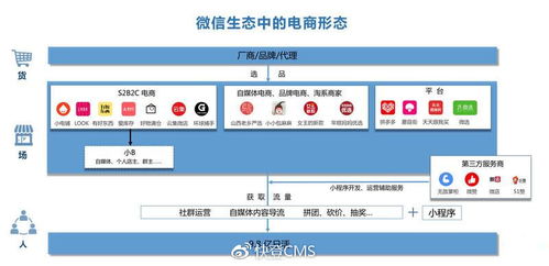 微信生态下,社交电商有哪些新机会